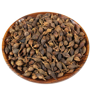 【现货即发】秦岭深山野生连翘 汉中贯叶连翘 正品双黄连中药材