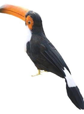 巴西大嘴鸟橱窗客厅玄关装饰摆件