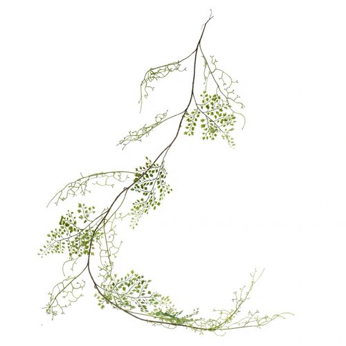 仿真蕨类植物藤蔓铁线蕨软藤黑芒藤植物缠绕绿植家居装饰工程搭配