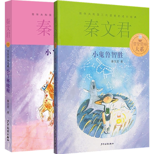 贾里贾梅大系  秦文君 小鬼鲁智胜+小丫林晓梅 6-12-15岁金色童年成长阅读 儿童文学男生贾里女生贾梅全传贾里贾梅日记世纪出版