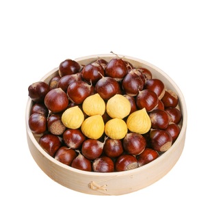 2025年新鲜下树现摘锥栗福建建瓯高山板栗新鲜生油栗圆农家毛栗子