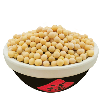 东北黄豆24年农家自种大豆生豆芽豆类五谷杂粮生黄豆豆浆豆子新货