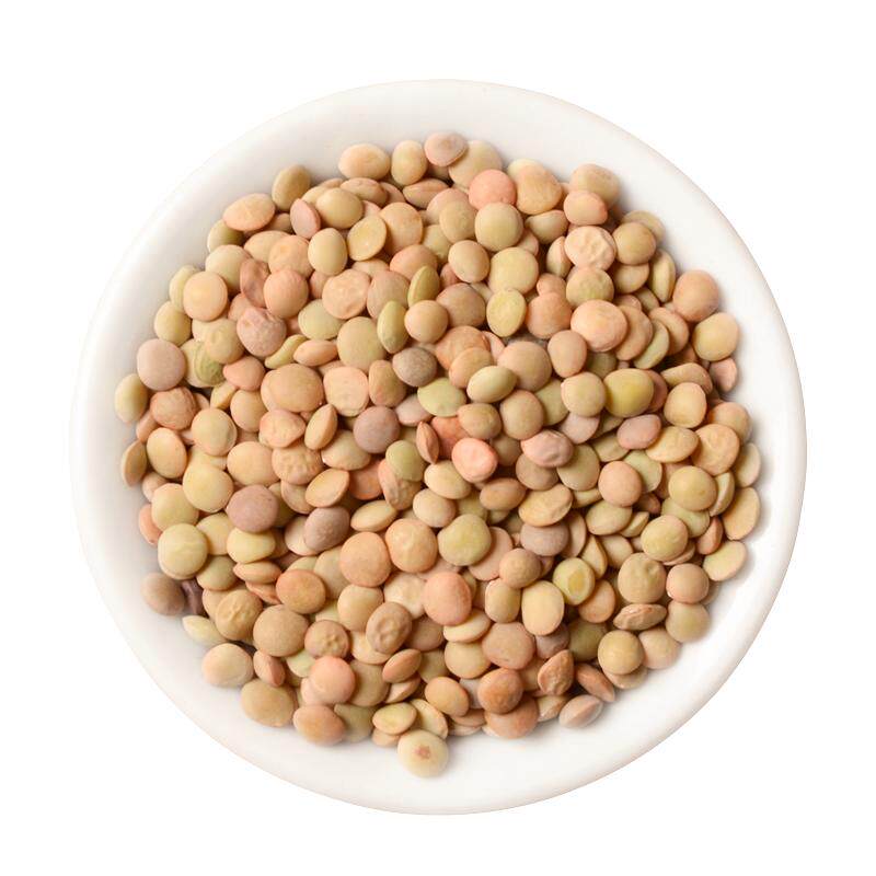 甘肃扁豆农家种植新产小扁豆杂粮