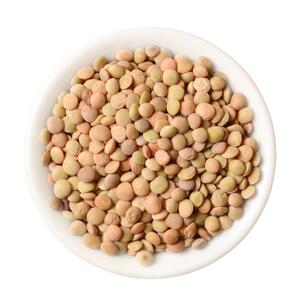 甘肃扁豆农家种植新产小扁豆杂粮