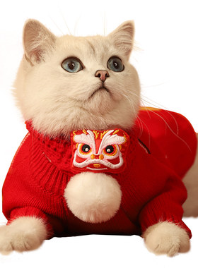 猫咪衣服年兽围脖秋冬
