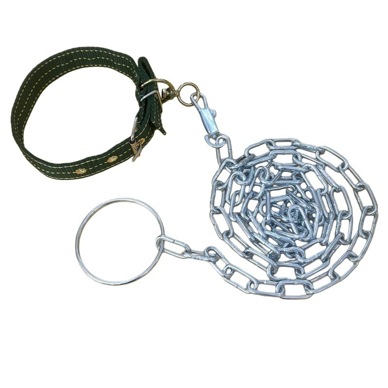 防咬狗链子小型犬中型犬大型犬狗狗项圈栓狗铁链牵引绳脖套遛狗绳