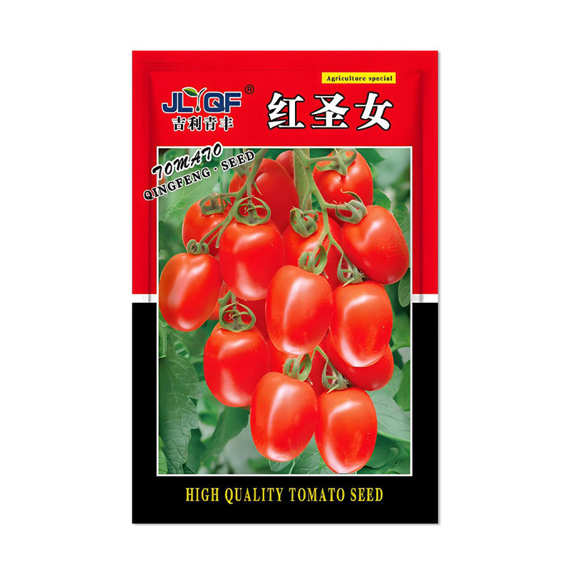 吉利青丰红圣女果种子