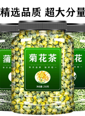 特级金银花菊花蒲公英经典组合