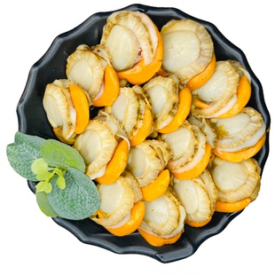 2030超大特大扇贝肉带黄带膏冷冻海鲜水产烧烤无冰红贝商用顺丰