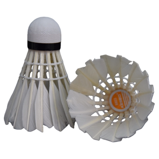 KESEO凯西欧羽毛球稳定耐打学生初学练习业余娱乐训练室内外用球