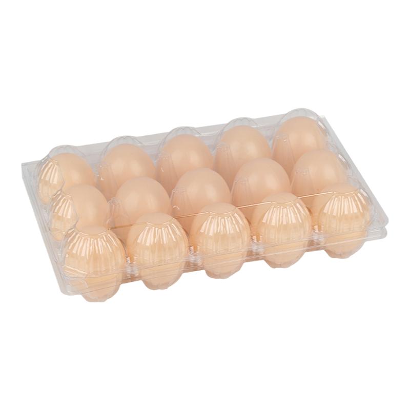 塑料透明中号一次性鸡蛋托
