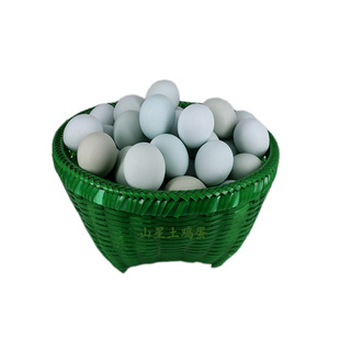 纯种汶上绿壳蛋芦花鸡杂交金芦花公母果园生态散养抱窝山星土鸡蛋