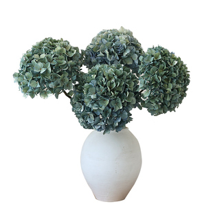 高级感绣球干花花束真花风干天然干枝装饰永生花客厅餐桌艺术插花