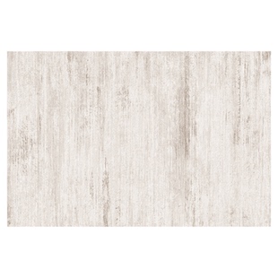 意式轻奢免洗地毯客厅2026新款可擦高级感客厅茶几卧室家用地毯垫