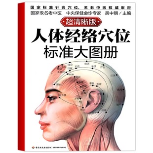官方正版 人体经络穴位标准大图册清晰图中医按摩经络穴位 经络穴位按摩大全养生大全人体经络穴位图解书人体穴位图解大全书籍