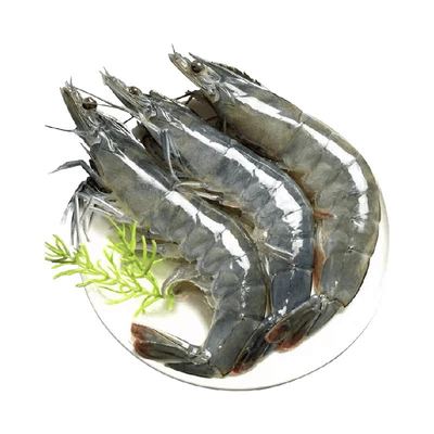 渔游记厄瓜多尔南美白虾