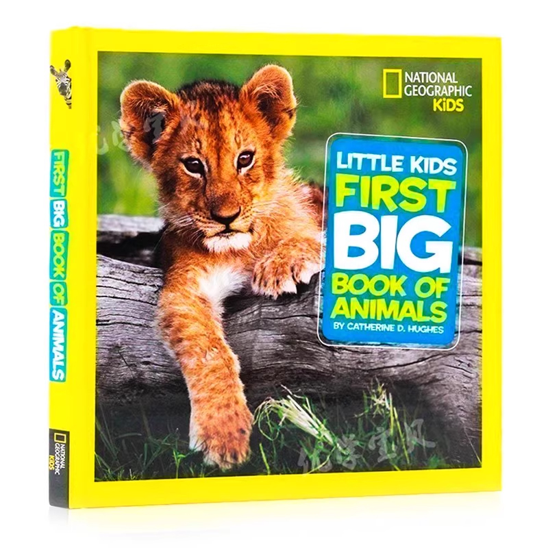 美国国家地理儿童百科动物英文原版 First Big Book of Animals National Geographic Little Kids 启蒙科普百科读物