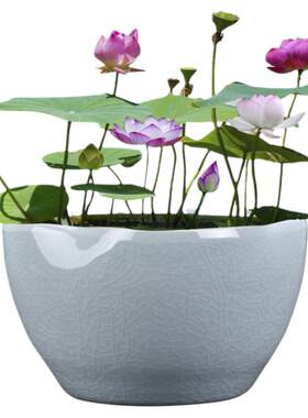 哥窑陶瓷简约碗莲花盆缸