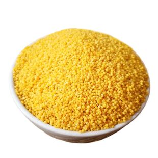 正宗黄小米农家当季新米杂粮小黄米糯小米粥真空装月子米宝宝辅食