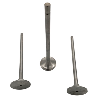 190系列柴油机进排气阀门