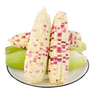 正宗广西花糯玉米5斤现摘新鲜当季带皮软糯香爆浆甜玉米棒子苞谷3