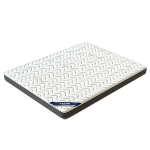 天然黄麻椰棕榈床垫硬垫子家用卧室护脊乳胶婴儿童棕垫榻榻米定制