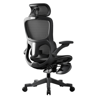 【达人专享】黑白调P2pro+人体工学椅电竞椅电脑椅椅久坐办公椅