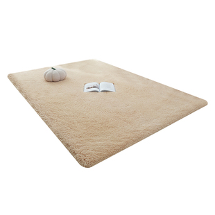 羊羔绒地毯卧室床边地垫客厅沙发茶几垫子加厚冬季毛毯大面积满铺