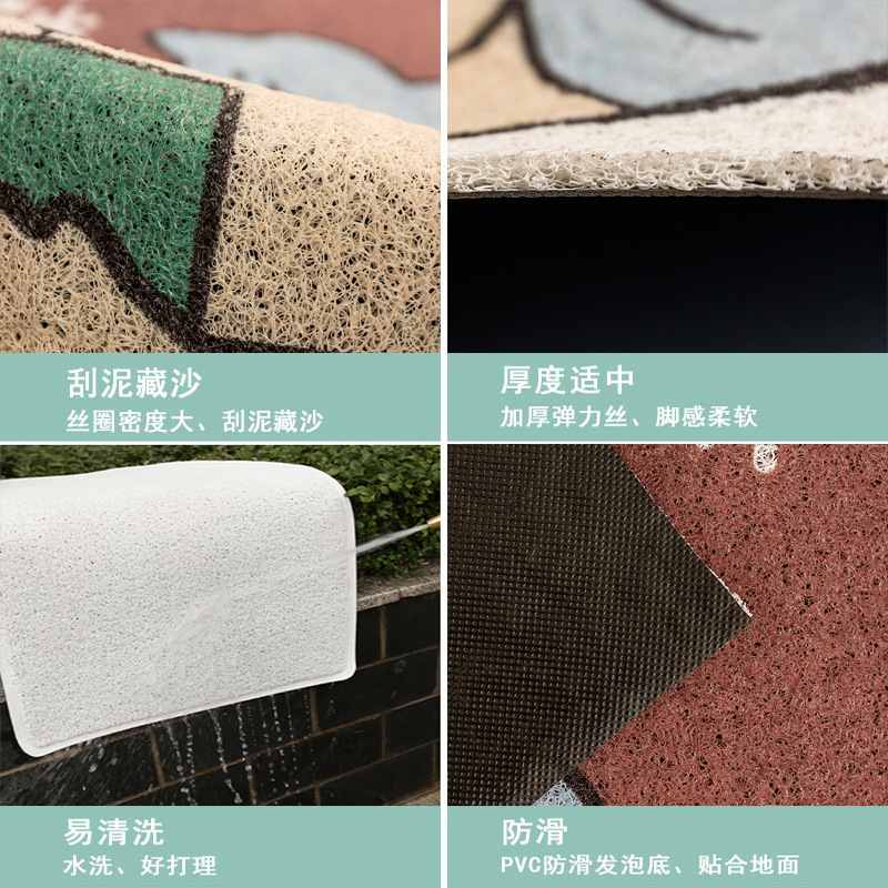 入户门丝圈地垫门口脚垫防滑门垫客厅卧室卫生间垫子防水卡通风格
