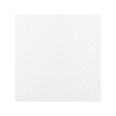 阿尔飞斯纳米无尘清洁布