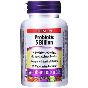 Webber Naturals加拿大进口成人肠道益生菌50亿活性益生菌60粒