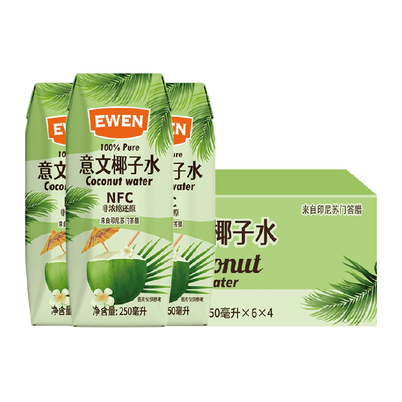 意文印尼电解质椰子水250ml*24盒