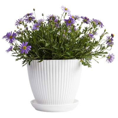 塑料简约风桌面小花盆