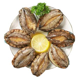 新鲜鲍鱼鲜活超大海鲜水产生鲜特大刺身即食盘鲍九孔非冻大连代发