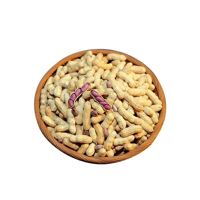 闽大郎龙岩紫衣湿烤水煮花生1斤