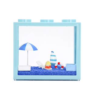 陌派可爱豆丁寄居蟹饲养套装套餐～饲养盒箱办公桌面萌宠儿童礼物