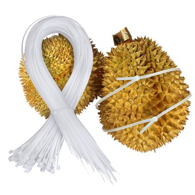 捆榴莲扎带加宽尼龙自锁式5*650