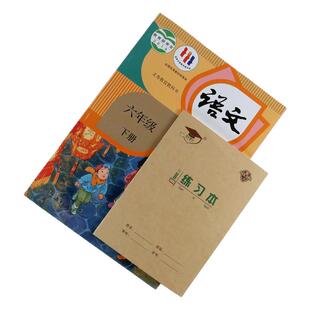 金儿博士练习本小学生幼儿园36开单线练习本36k横线本单线本加厚