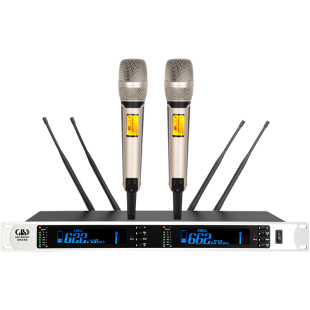 Glen ralston/格伦士顿专业一拖二无线话筒真分集U段麦克风500米