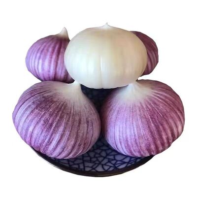 圆头独头蒜产地直发云南晾晒