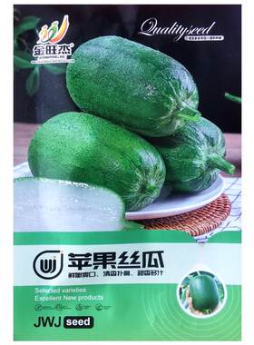 苹果丝瓜种子菜瓜种籽盆栽籽