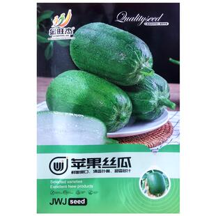 苹果丝瓜种子菜瓜阳台盆栽庭院农家作物春季播种疏蔬菜种籽孑