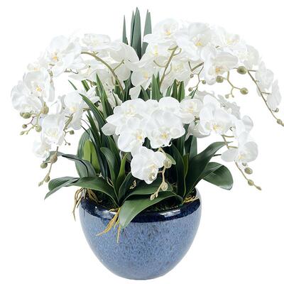 CoteNoire蝴蝶兰香氛花