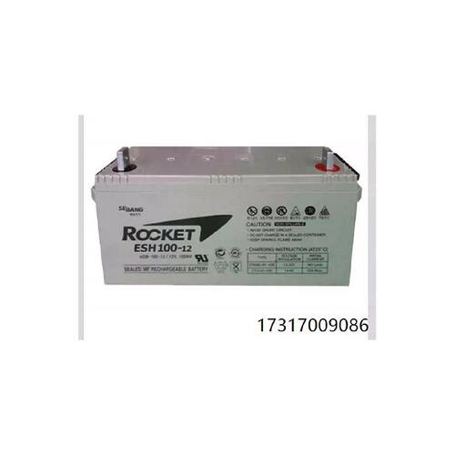 韩国蓄电池ESH1001212V100AH工业安防主机应急12V蓄电池