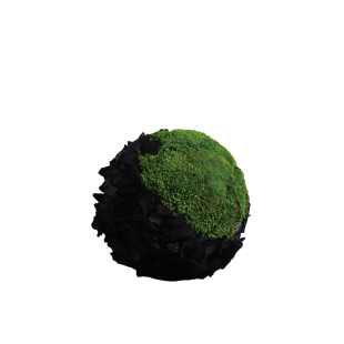 天青苔绿 新中式碳化木永生苔藓组合球 样板间茶空间软装搭配摆件