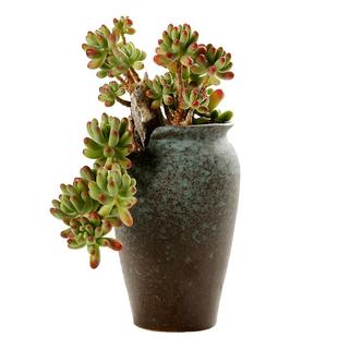 法师花盆大号桩高盆复古个性透气创意简约陶罐粗陶陶瓷多肉花盆