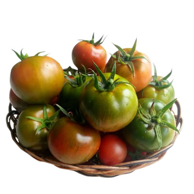 番茄甜心铁皮绿腚四季露地种子