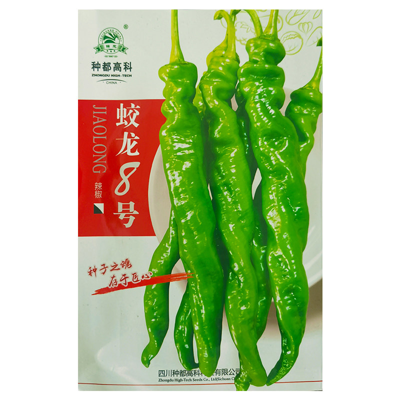 薄皮特辣四季长果口感螺丝椒种子