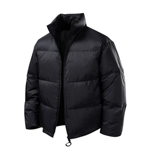 Dashufulcrum简约基础立领羽绒服男女冬季通勤保暖90白鸭绒面包服