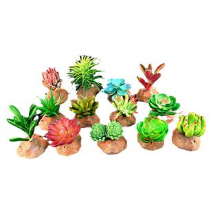 仿真多肉植物盆栽桌面装饰爬虫箱造景爬宠饲养箱假植物雨林缸绿植